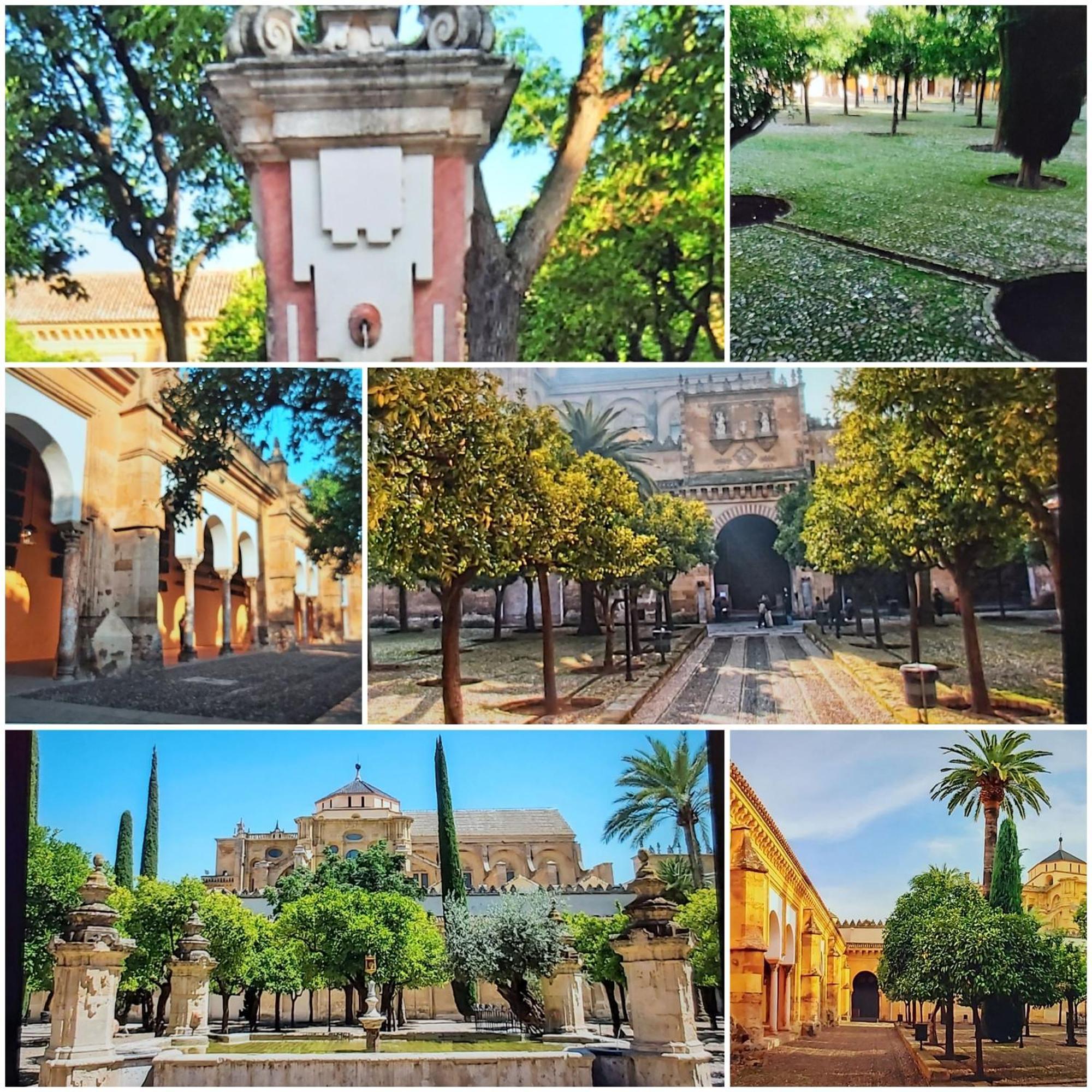 A 20 Metros De La Mezquita Catedral ,Apartamentos Turistico Cespedes 5 Кордоба Стая снимка