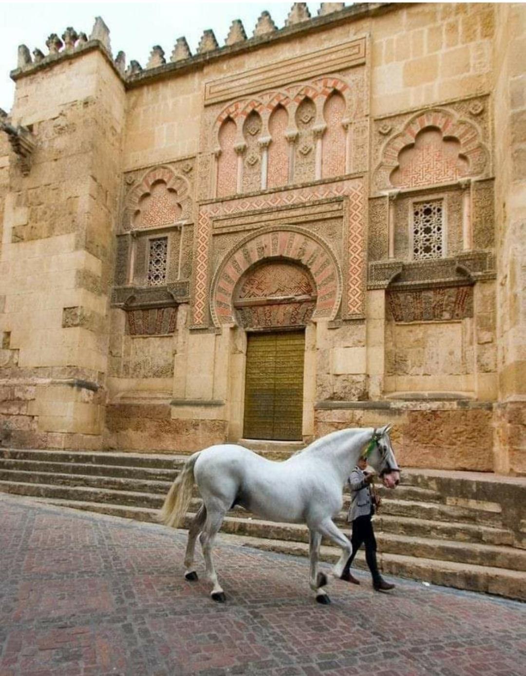 A 20 Metros De La Mezquita Catedral ,Apartamentos Turistico Cespedes 5 Кордоба Стая снимка