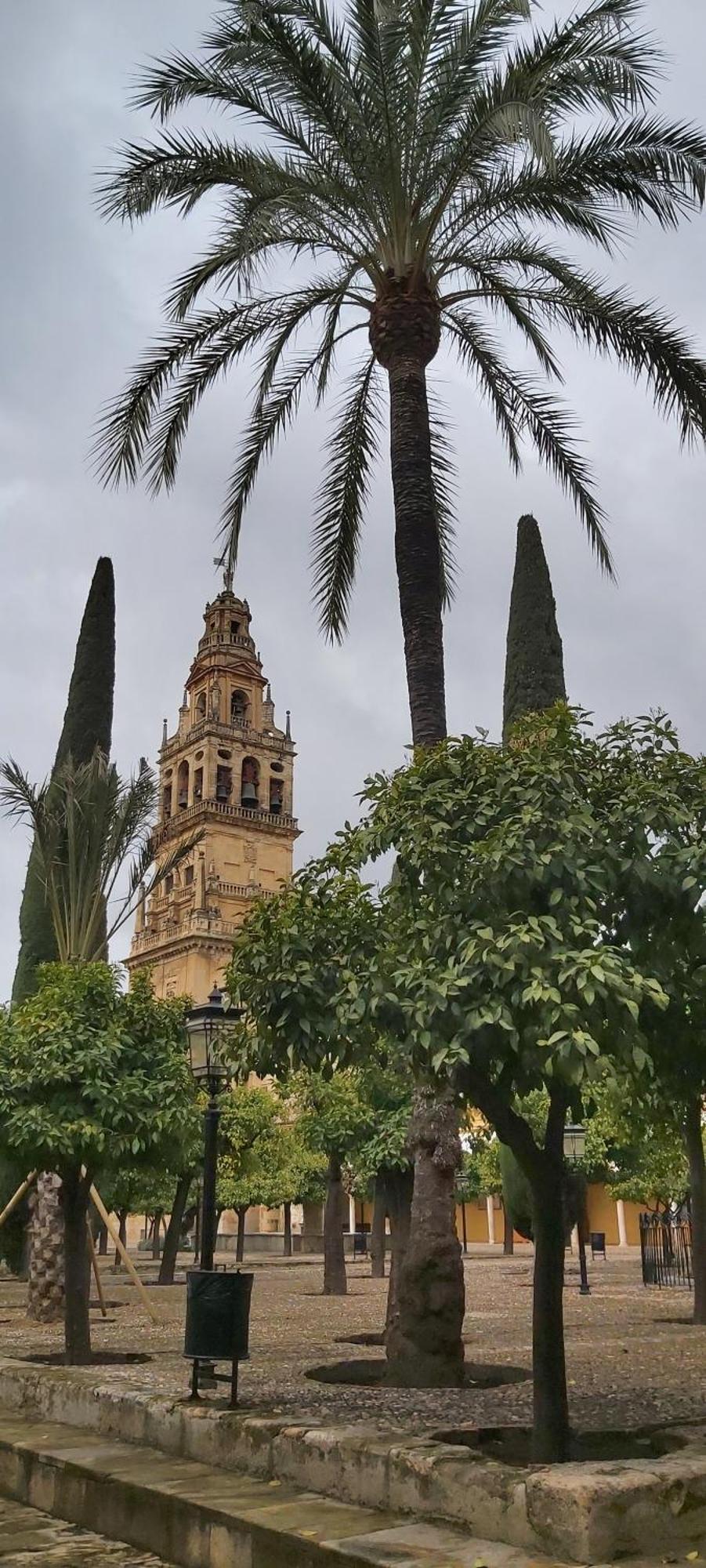 A 20 Metros De La Mezquita Catedral ,Apartamentos Turistico Cespedes 5 Кордоба Стая снимка